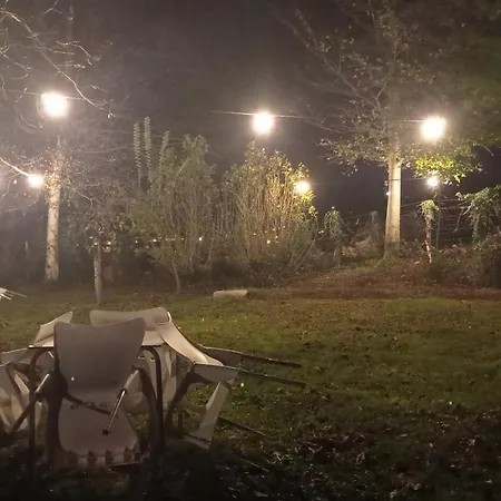 ファームステイ Balentziaga *