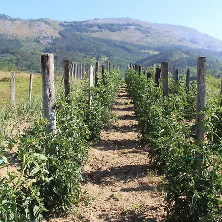 Balentziaga Séjour à la ferme Azcoitia