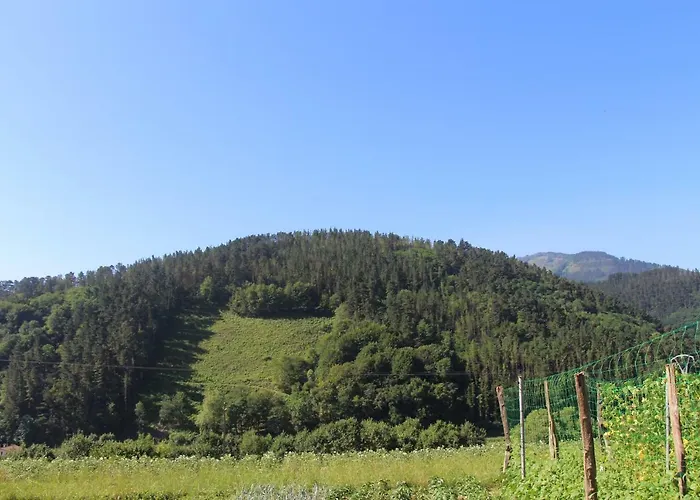 Balentziaga Azcoitia