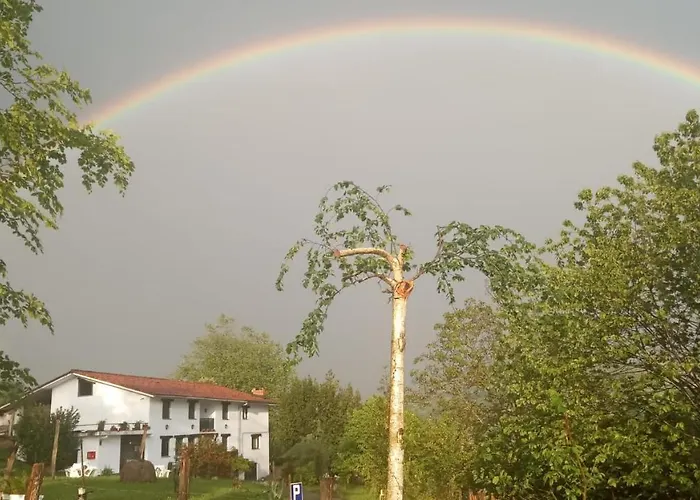 Balentziaga Feriegård Azcoitia