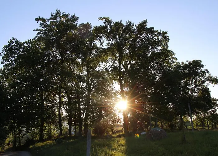 Balentziaga Azcoitia