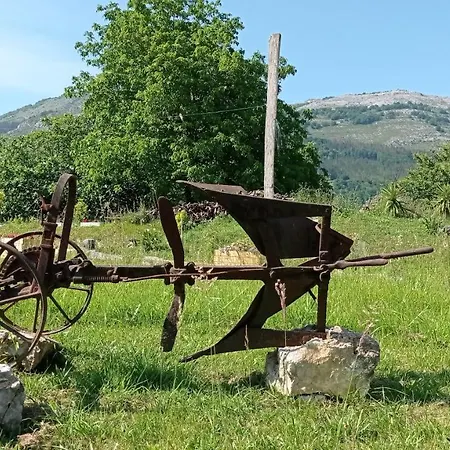 Balentziaga Azcoitia