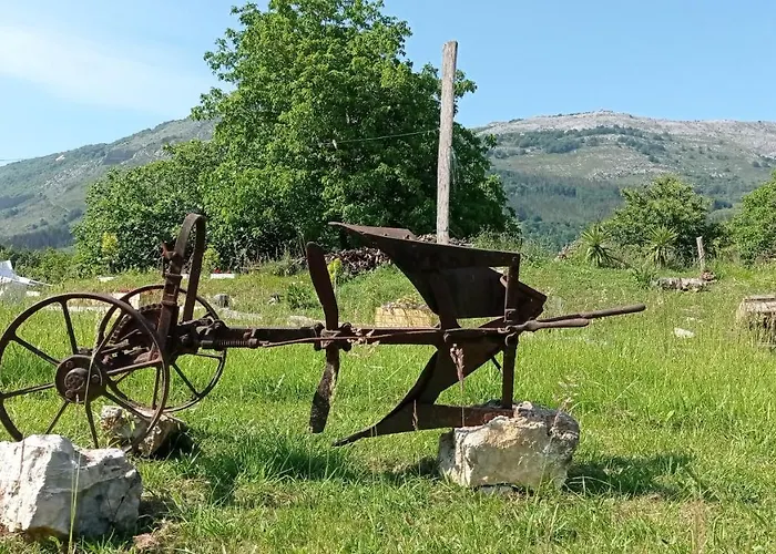 Balentziaga Azcoitia