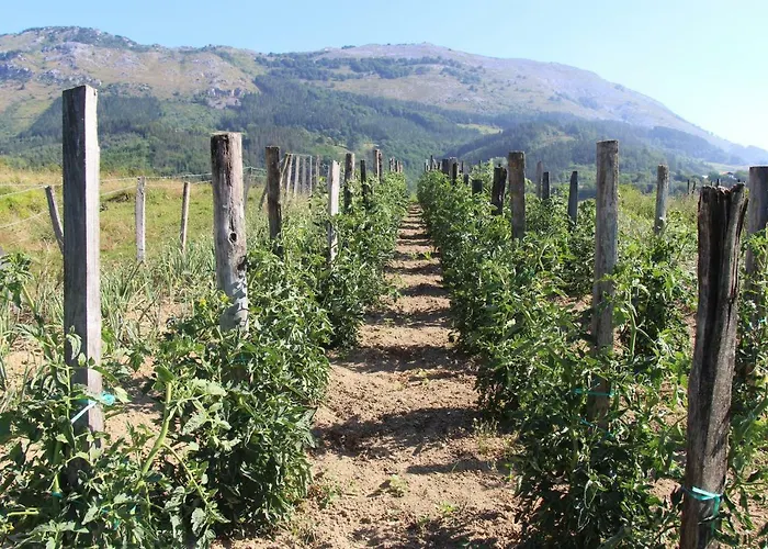 Balentziaga Agroturismo Azcoitia